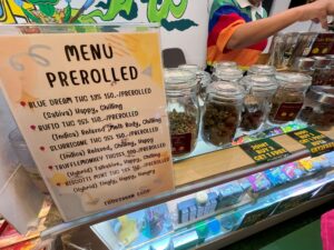 タイの「大麻合法化」のこれから（前編） WIGO