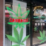 タイの「大麻合法化」のこれから（前編）